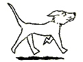 tous les chiens, toutes les fiches