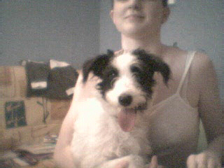 Kitty :-) miss léchouilles !
