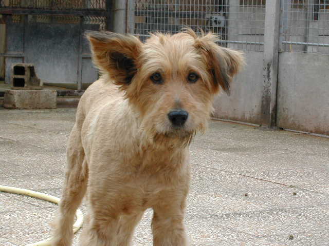 04.01.03 : Myrtille :-)