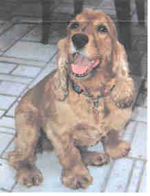 Un sourire pour ma marraine :-)