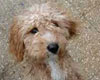 Noisette, le 29.03.03
