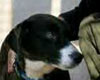 Praline, le 12.04.03