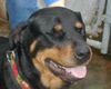Solveig, 09.03.03