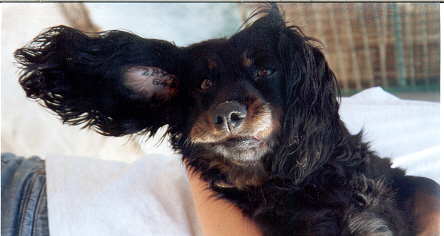 Thalie