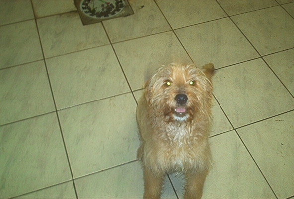 Titus :-)) tout petit petit !