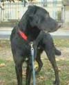 Samy