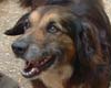 Hugo : tout un forum est heureux !
