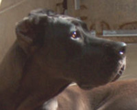 Isis, le 23.03.03