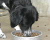 Lucky, le 13.04.03