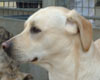 Moka, qui va bien :-) 27.12.03