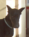 Rocky ;-) le 30.11.03