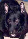Thelma