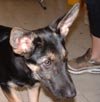 Wolfgang, le 30.08.03