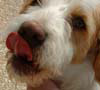 Woody parti dans la foulée :-) le 29.06.03