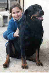 Luna, partie grace à des fous de molosses et à TOP DOG