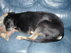 Sieste du dimanche 